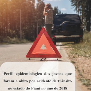 Perfil epidemiológico dos jovens que foram a óbito por acidente de trânsito no estado do Piauí no ano de 2018